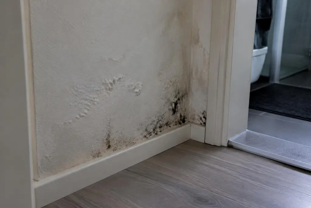 Lekdetectie Wijchen – vochtplek met schimmel op een muur
